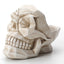 Skull desktop organizer storage box phone holder - Korvel