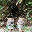 Charming Cat and Mole Decorative Garden Ornaments