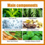 Premium Mole Label Repair Patch for Skin Care