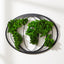 Moss World Map Metal Wall Decor - Korvel