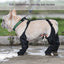 Zapatos para Perros Ajustables e Impermeables para Aventuras al Aire Libre