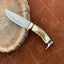 Premium Custom Damascus Steel Hunting Knife with Antler Handle & Brass Accents – 10" | KBS Knives - Korvel