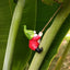Climbing Elf Balcony Decoration Pendant