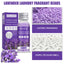 Lavender Laundry Perfume Beads, Laundry Decontamination Protective Clothing Soft Lasting Fragrance Beads - Korvel