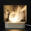 3D Image Internal Carving Laser Acrylic Bedhead Nightlight Plug in - Korvel