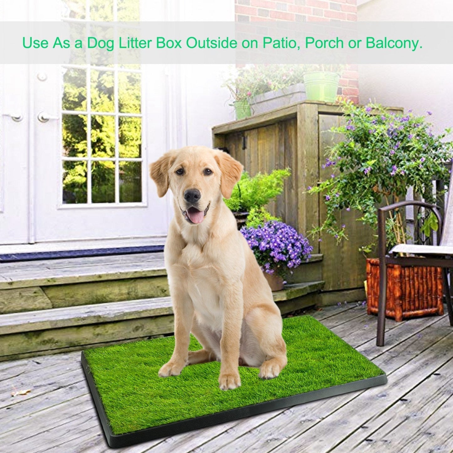 Gbruno Almohadilla de Entrenamiento para Perros con Césped Artificial