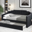 Upholstered Twin Daybed with Trundle Black - Korvel