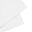 Cheers Cat Tail Cocktail & Luncheon Napkins