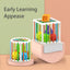 Montessori Geometric Shape Blocks for Infants