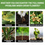 Plant Nutrient, Flower Pot Lawn Green Leaf Plant Fertilizer Root Growth Nutrient - Korvel