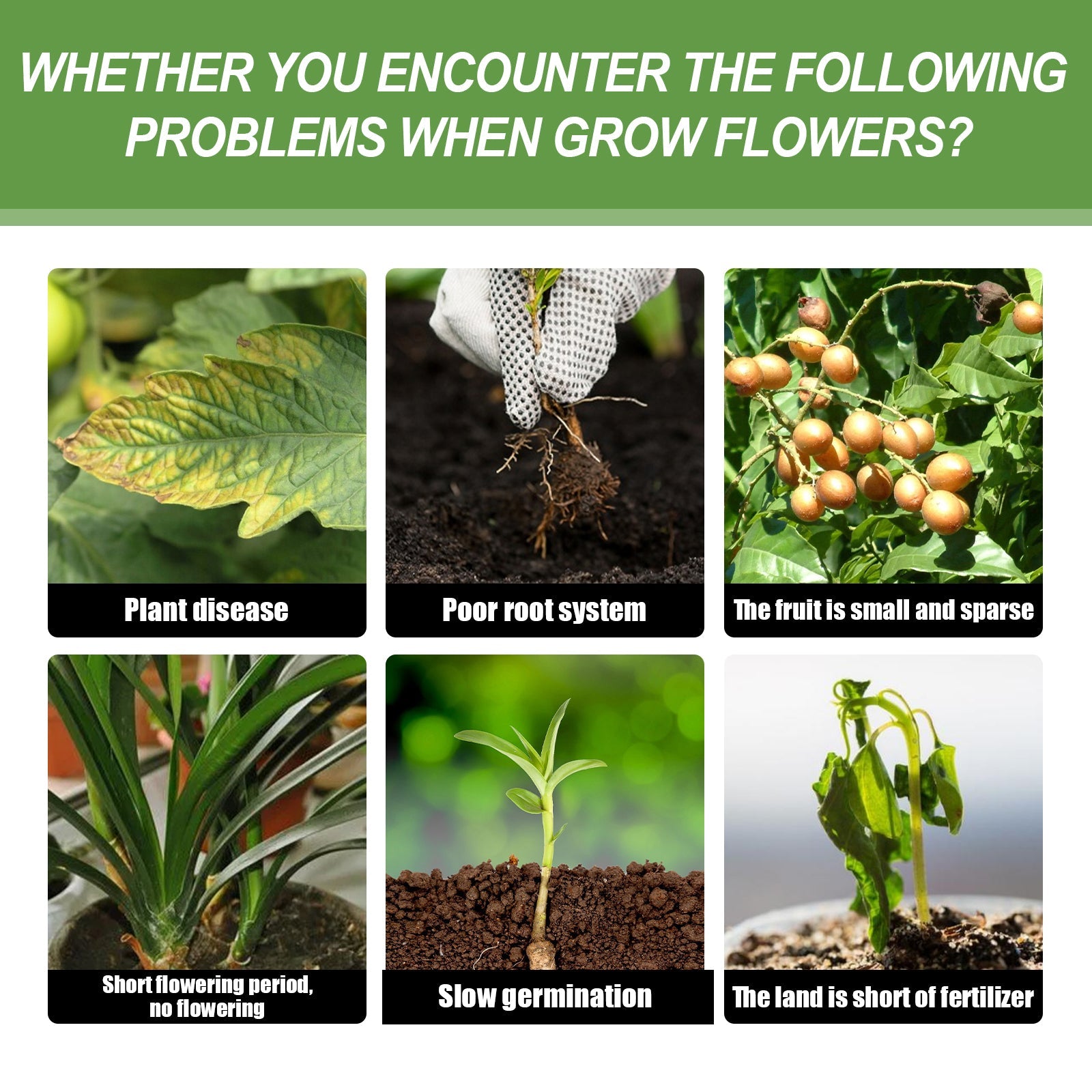 Plant Nutrient, Flower Pot Lawn Green Leaf Plant Fertilizer Root Growth Nutrient - Korvel