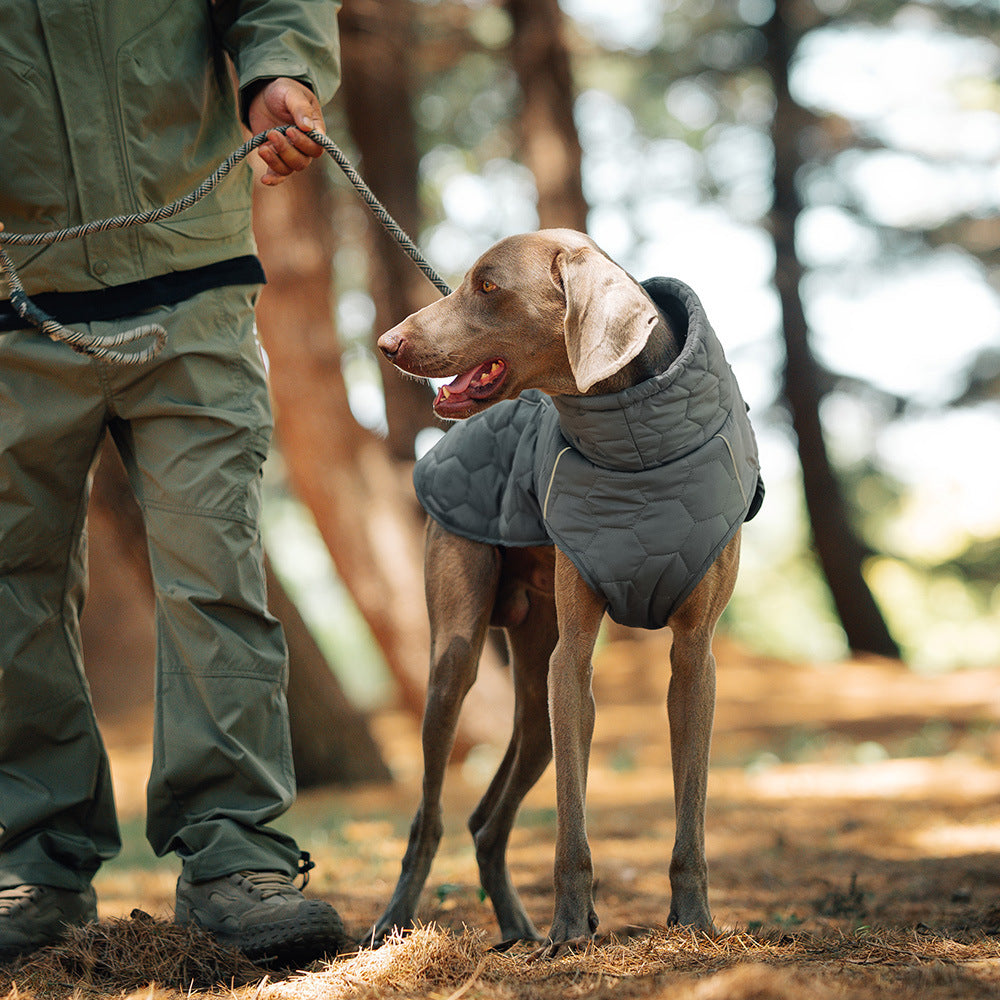Premium Thick Cotton Dog Coat for Winter Comfort