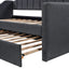 Upholstered Twin Daybed with Trundle Black - Korvel