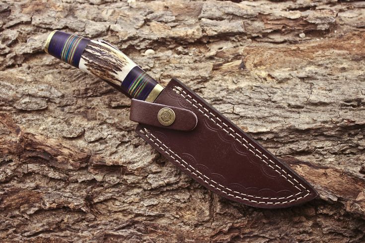 Artisan Crafted 1095 Steel Hunting Knife with Antler & Exotic Wood Handle – 11" | KBS Knives - Korvel