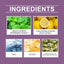 Refreshing Mouthwash for Daily Oral Care
