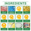 Premium Multivitamin Tablets for Cats