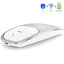 Premium Aluminum Dual-Mode Wireless Bluetooth Mouse