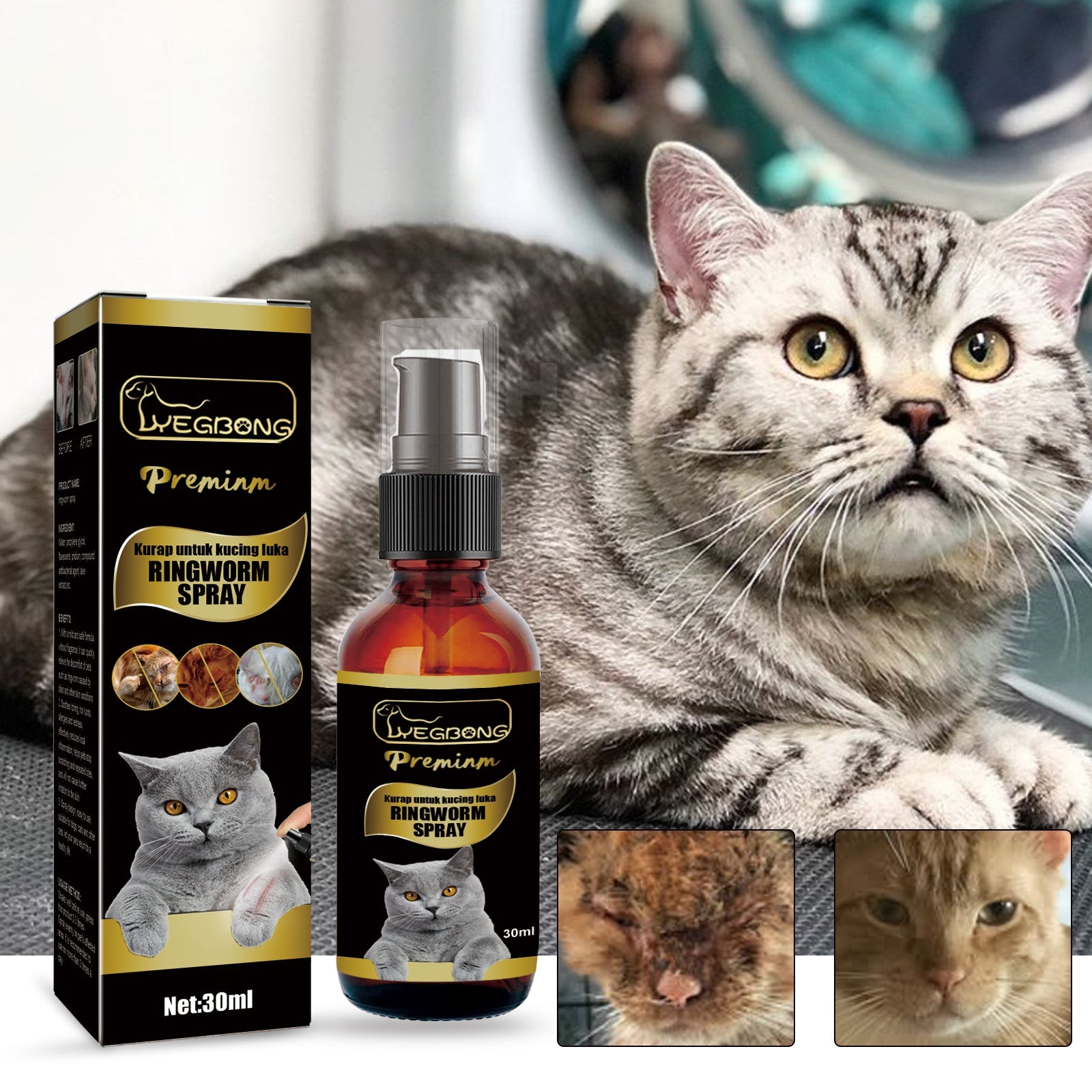 Cat Ringworm Spray, Pet Cats Anti-Mite Cat Moss Care Skin External Use Anti-Itch Spray - Korvel