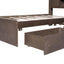 Twin Size Wood Platform Bed with House-shaped Storage Headboard and 2 Drawers Walnut - Korvel