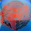 Glass Ursus - Eric Oakley Signature Disc Golf Disc