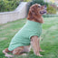 Pull pour animaux de compagnie haut de gamme pour grandes races - Collection hiver