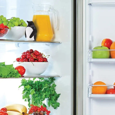 Penguin Refrigerator Deodorizer Box