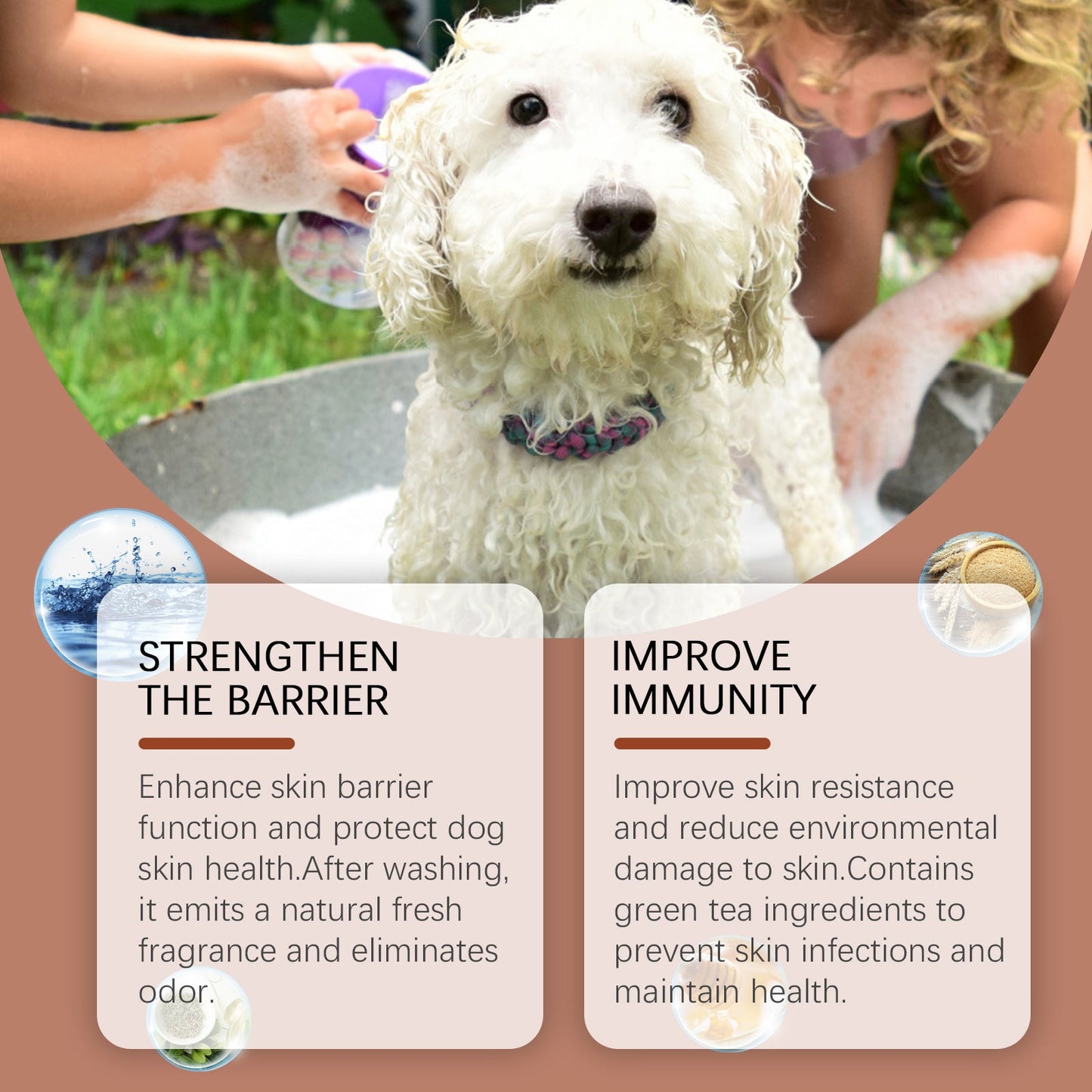 Shampoo For Dogs Gentle Cleansing Shampoo For Dog Hair Moist, Smooth And Tangle-Free - Korvel