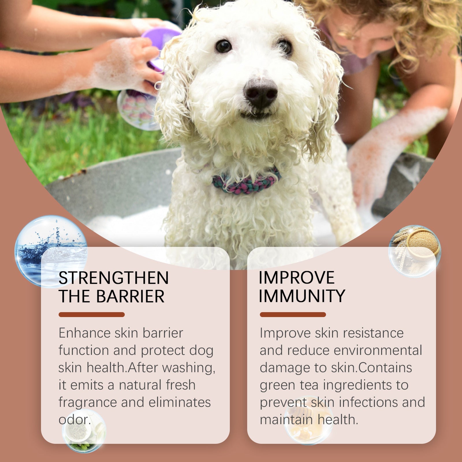 Shampoo For Dogs Gentle Cleansing Shampoo For Dog Hair Moist, Smooth And Tangle-Free - Korvel
