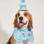 Dog Happy Birthday Decoration Dog Costume Hats Bowknot Bandana Neckerchief Bibs Banners Party Cat Dog Pets Accessories Perros - Korvel