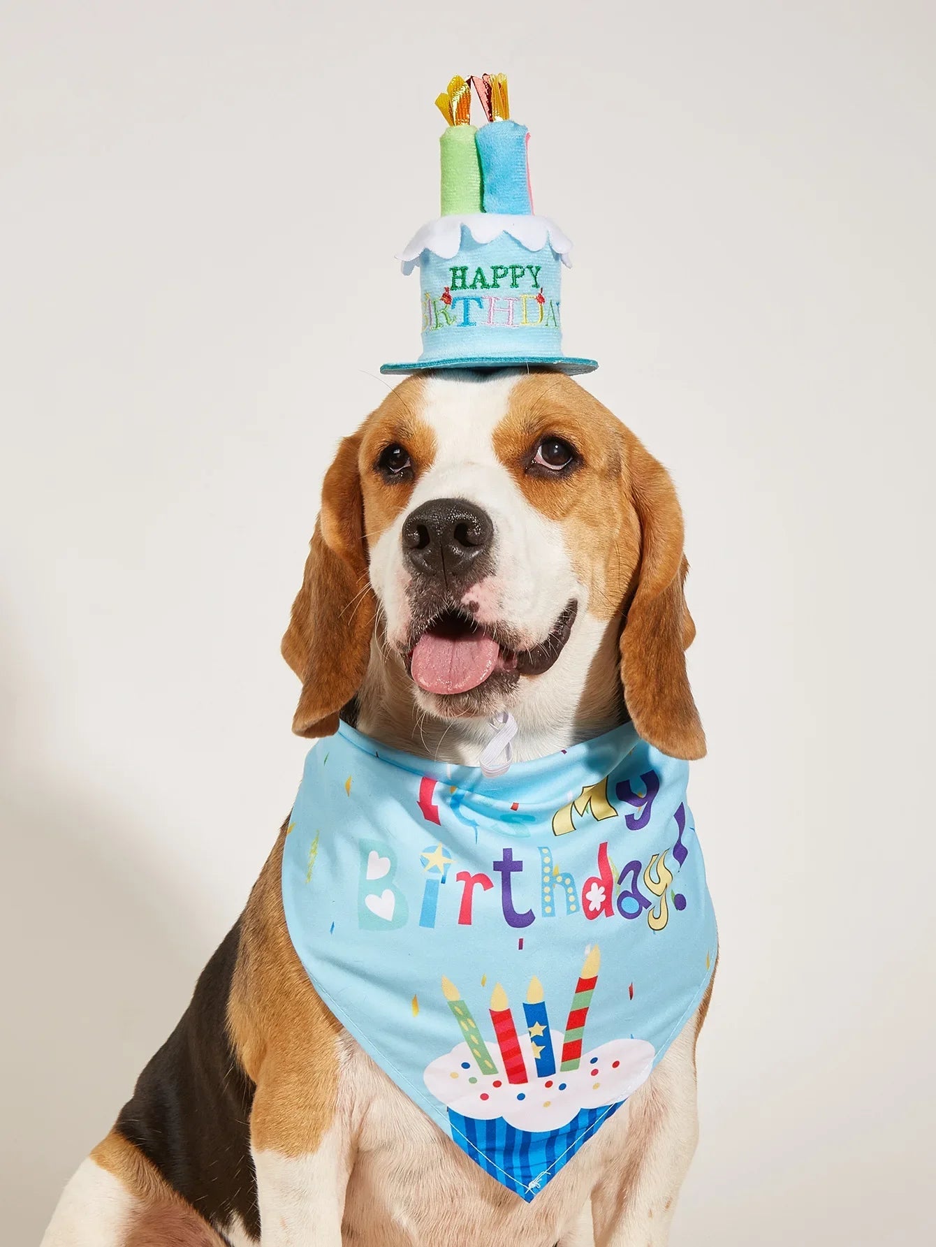 Dog Happy Birthday Decoration Dog Costume Hats Bowknot Bandana Neckerchief Bibs Banners Party Cat Dog Pets Accessories Perros - Korvel