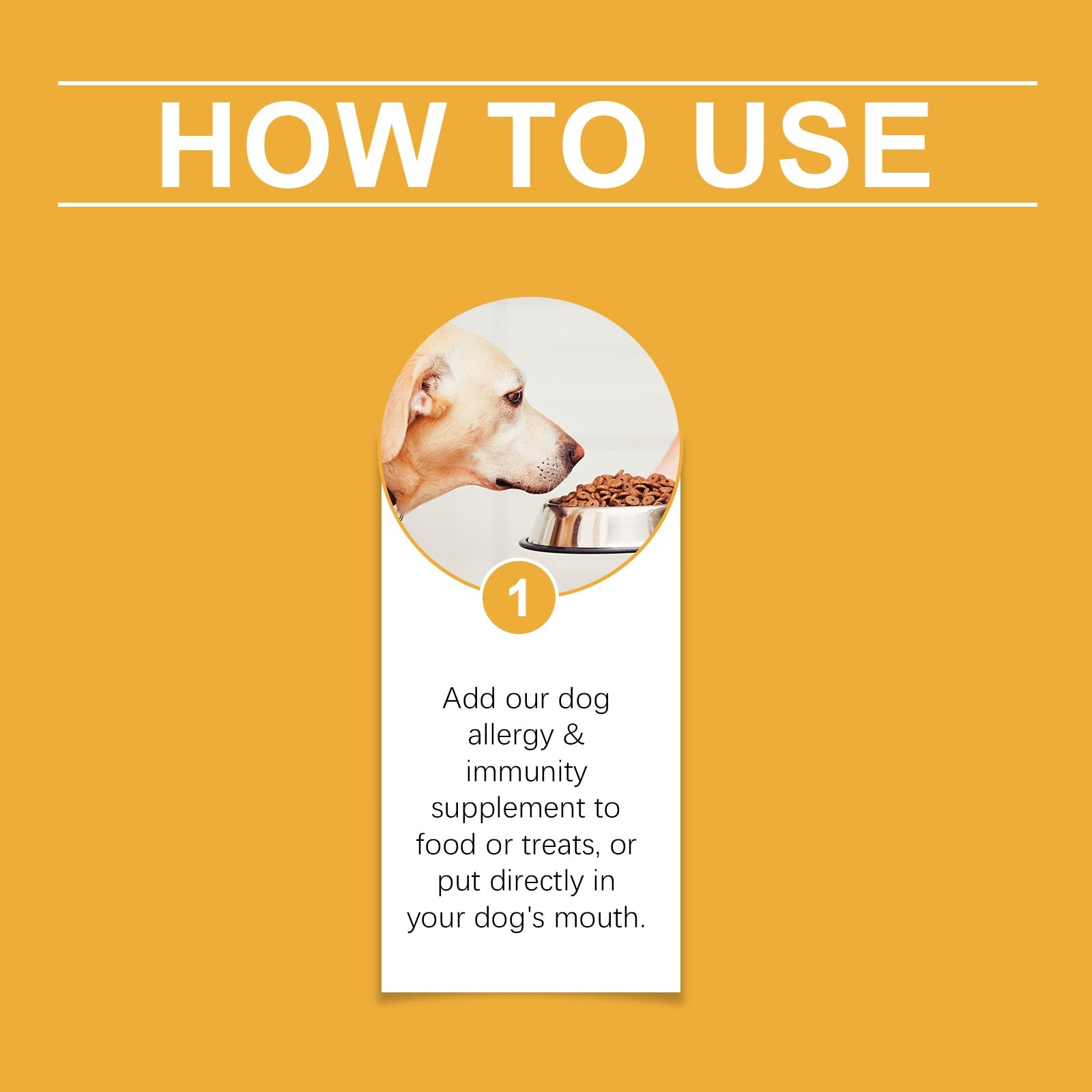 Dog Body Care Drops, Care And Relieve Pet Body Discomfort Nutritional Care Supplements - Korvel