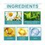 Hair Follicle Care Cream Care Scalp Back Face Clean Repair Acne Hair Follicle Care Cream - Korvel
