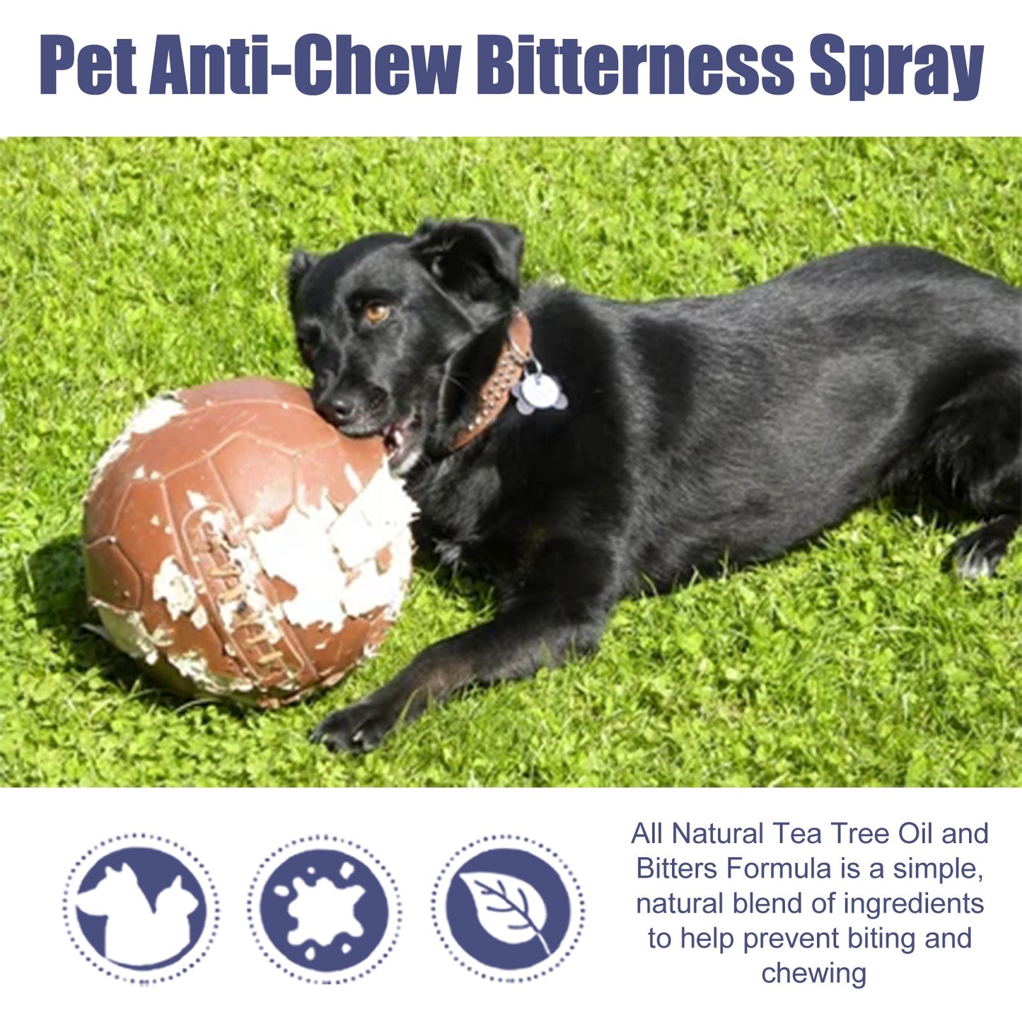 Pet Bitter Anti-Biting Spray, Prevent Dogs Chewing Table And Chair Legs, Scratching Sofa Spray - Korvel