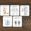 Tarjetas Didácticas AnatoLearn - Set de Estudio de Anatomía Humana de 21 Piezas