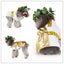 Personalized Christmas & Halloween Pet Costumes