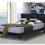 02 Q Black Platform Bed