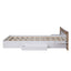 Queen Size Platform Bed with Headboard, Drawers, Shelves, USB Ports and Sockets  White - Korvel