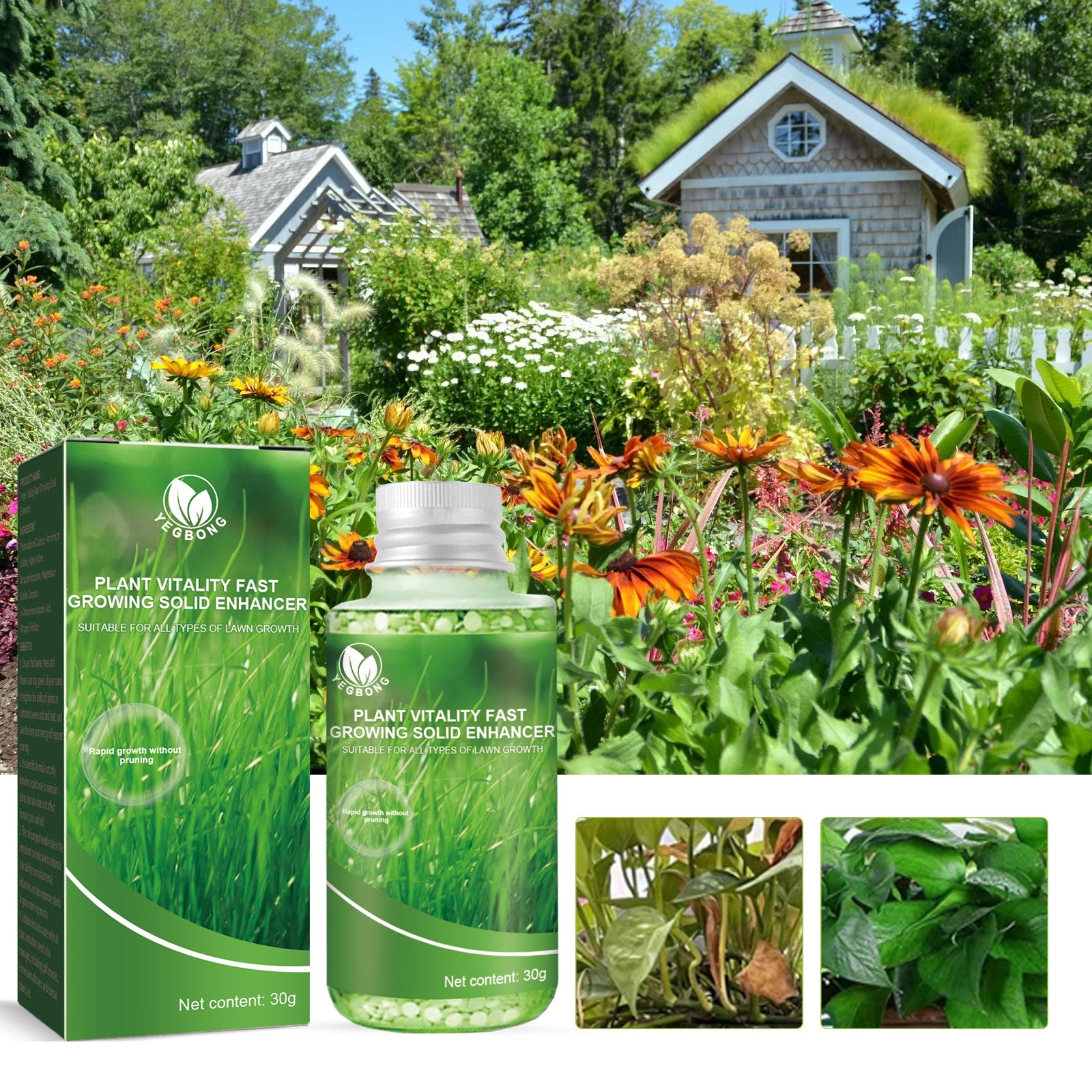 Plant Nutrient, Plant Fertilizer Flower Potted Lawn Green Leaf Root Growth Nutrient - Korvel