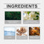 Eau De Toilette, Warm Wood Scent Charming Floral Fragrance Fresh Natural Fragrance Fragrance Lasting Fragrance - Korvel