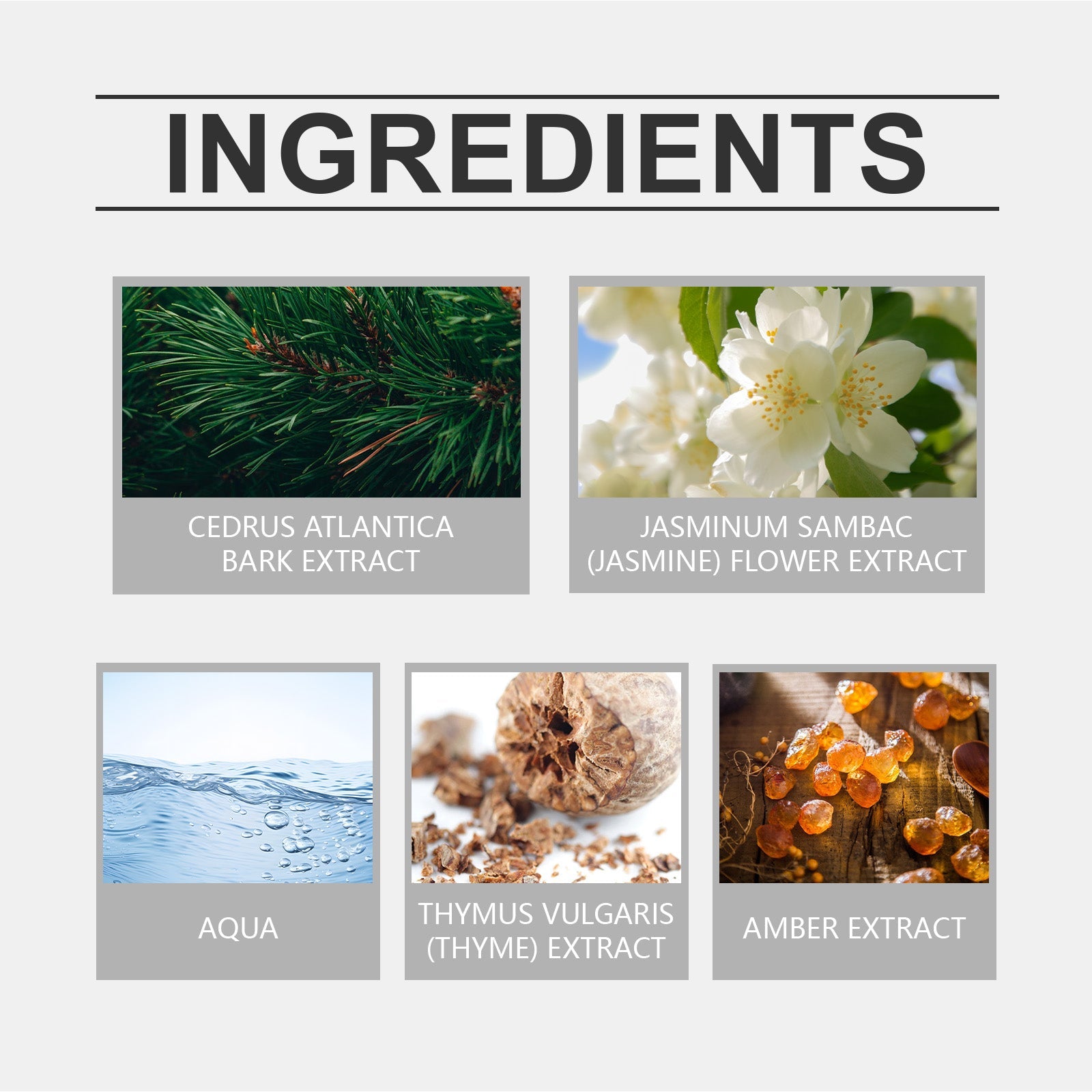 Eau De Toilette, Warm Wood Scent Charming Floral Fragrance Fresh Natural Fragrance Fragrance Lasting Fragrance - Korvel