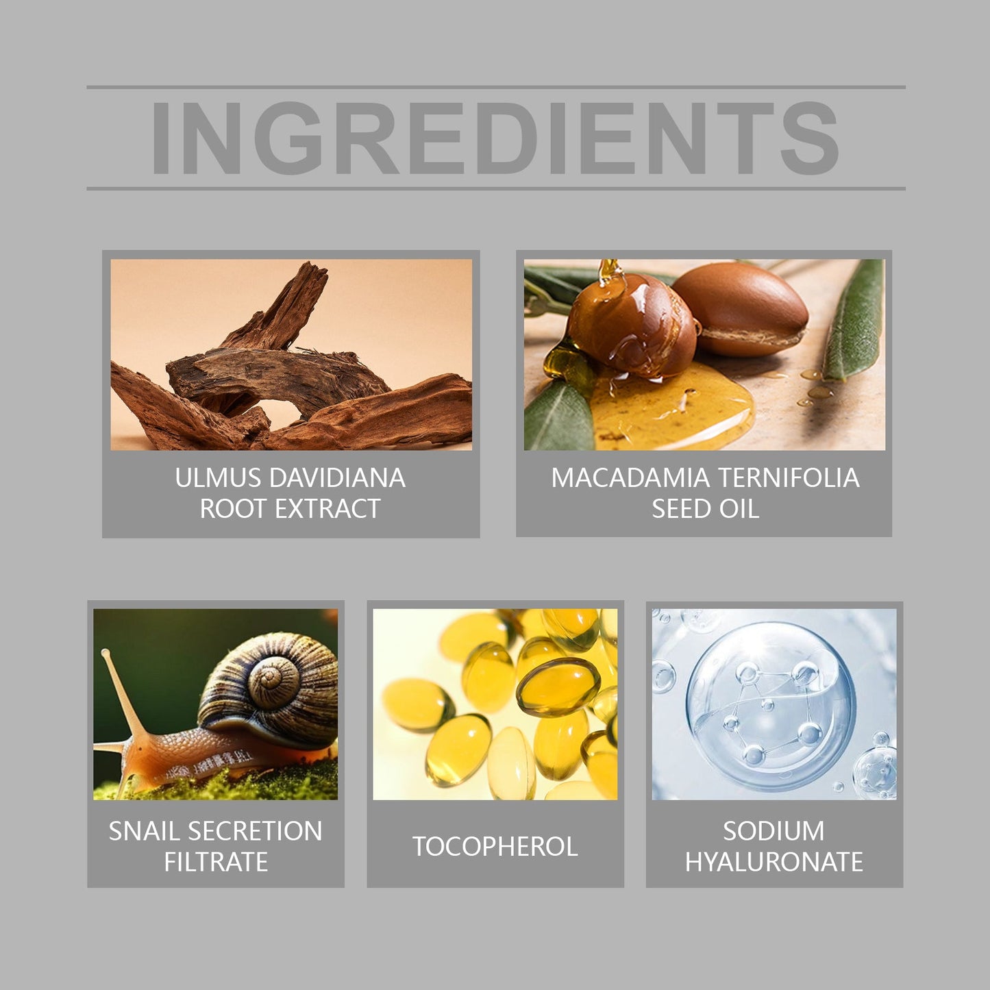 Snail Moisturizer, Nourishing And Moisturizing Facial Care Moisturizing Cream To Improve Dull Skin - Korvel