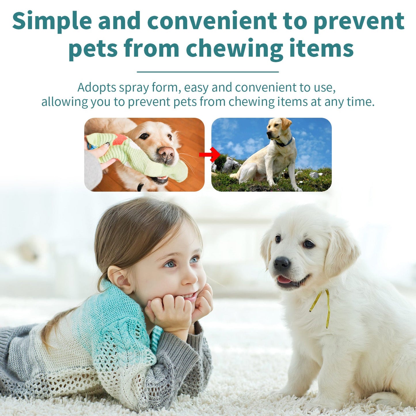 Spray correctif à mâcher premium pour animaux de compagnie
