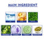 Sleep Patch Soothes The Body Improves Sleep Comfort Pamper Sleeping Body Patch - Korvel