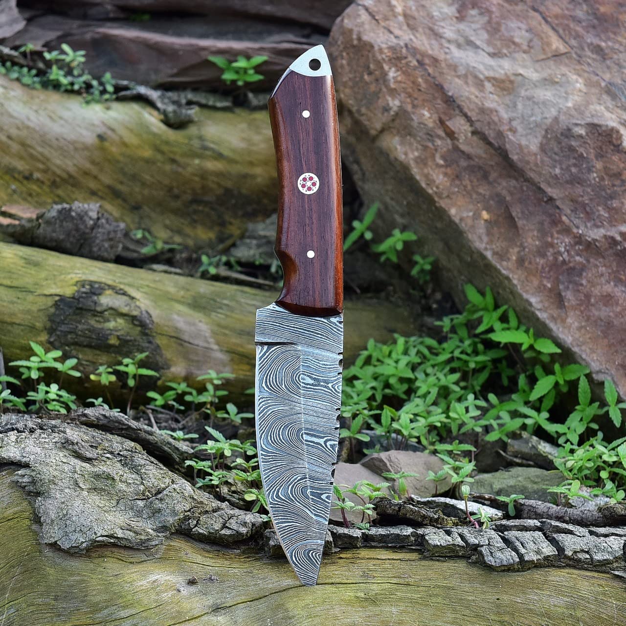 Premium Damascus Skinning Knife with Elegant Rosewood Handle - Korvel