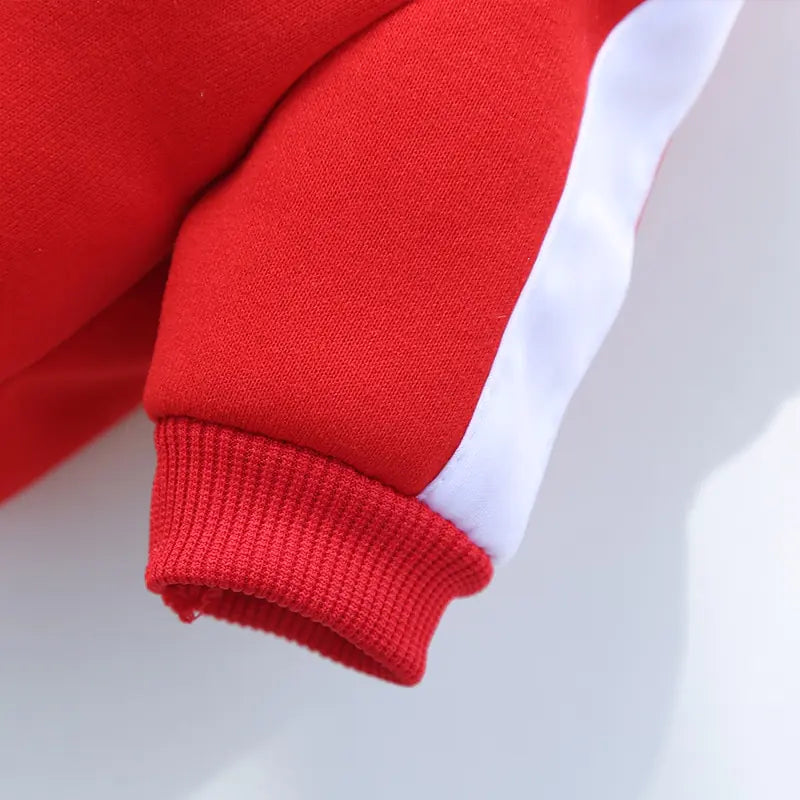 Hoodie de luxe pour chien d'hiver