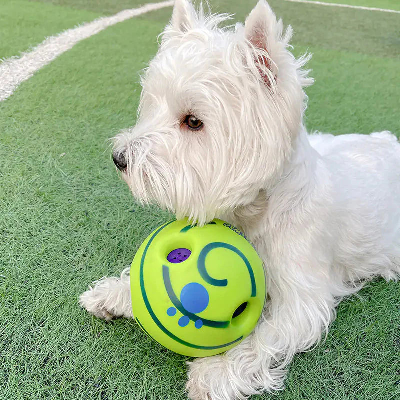 Jouets de football pour chiens durables pour un jeu actif