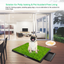 Gbruno Almohadilla de Entrenamiento para Perros con Césped Artificial