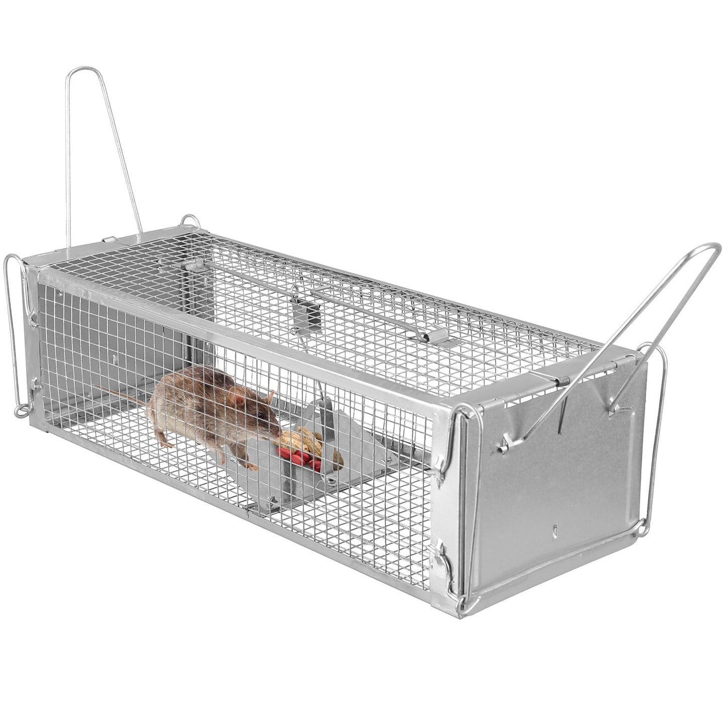 Trampa Humana para Ratas de Doble Puerta GBruno
