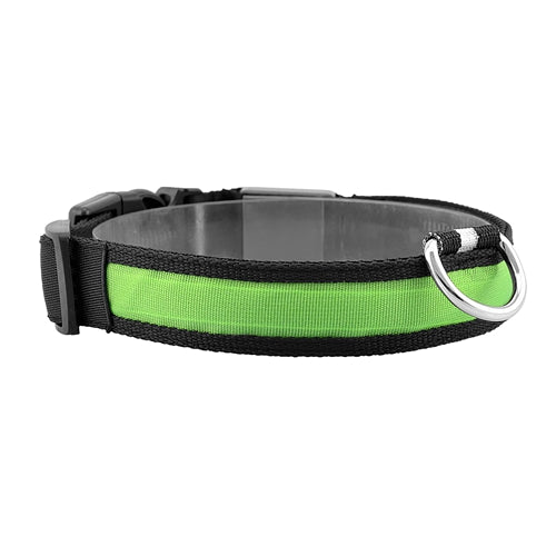 GBruno LED Dog Collar - High Visibility Safety