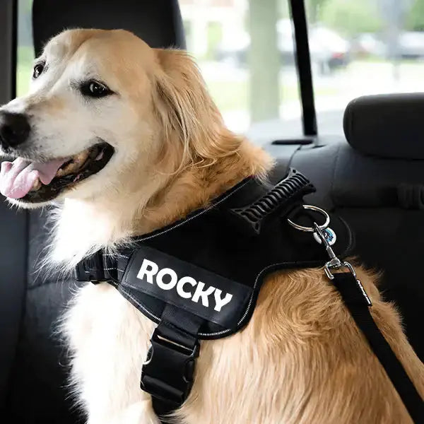 Cinturón de Seguridad Ajustable para Perros para un Viaje Seguro